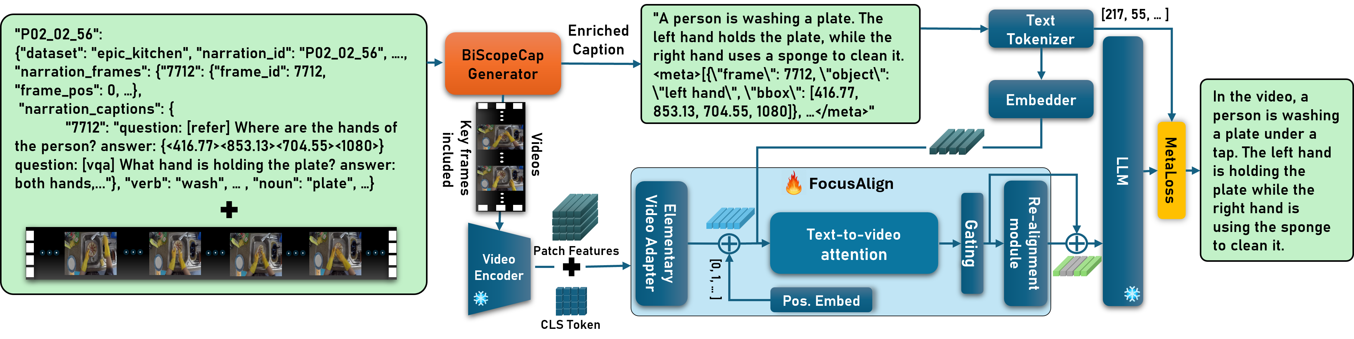 Overview of the BiScopeNet architecture with BiScopeCap, FocusAlign and MetaLoss